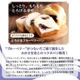 冷凍・4枚<わかさ生活>とコラボ!とろけるブルーベリーパン(1斤)