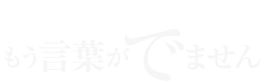 もう言葉がでません